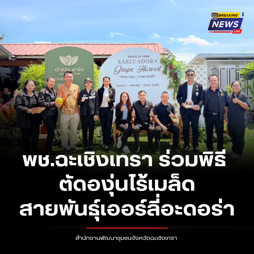 พช.ฉะเชิงเทรา ร่วมพิธีตัดองุ่นไร้เมล็ด สายพันธุ์เออร์ลี่ อะดอร่า