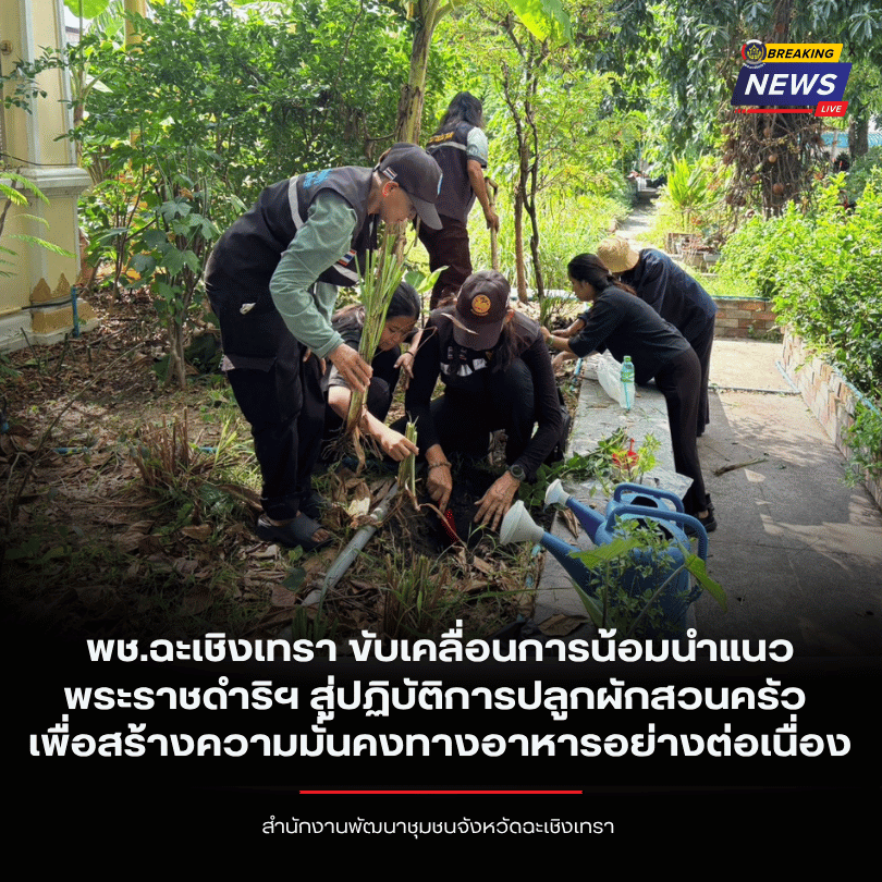 พช.ฉะเชิงเทรา ขับเคลื่อนการน้อมนำแนวพระราชดำริฯ สู่ปฏิบัติการปลูกผักสวนครัว เพื่อสร้างความมั่นคงทางอาหารอย่างต่อเนื่อง